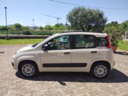 Fiat Panda pieno