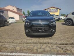  pieno