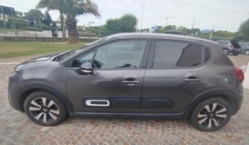  pieno