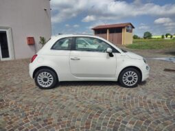  pieno