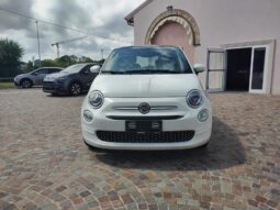  pieno