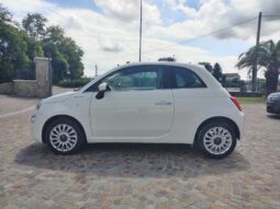  pieno