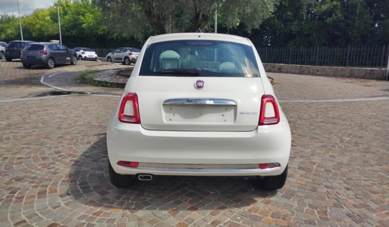  pieno