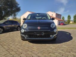  pieno